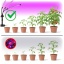 led-grow-lamp-led-vitaro-3-st-mini-10w-kobi-design-3c903824be484f52840c78ff643b807f-84265e2d.jpg