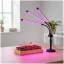 led-grow-lamp-led-vitaro-3-st-mini-10w-kobi-design-4a7b6d90bfcc4617ad56f1f6a994a44d-f3216ebb.jpg